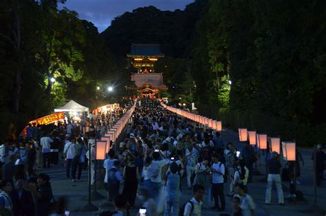 鎌倉・鶴岡八幡宮「ぼんぼり祭」 境内照らすほのかな灯 カナロコ By 神奈川新聞