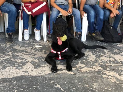 Instituto Novo Olhar Um Novo Olhar Para A Regi O Pantaneira