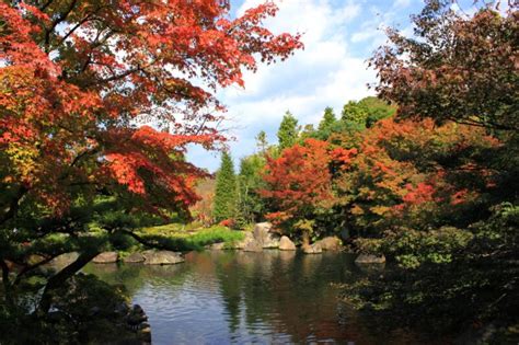 好古園（姫路城西御屋敷跡庭園）の紅葉の2021年ライトアップや見頃時期は？見どころやアクセスや駐車場は？ そらいろ～日本が魅せる多彩な表情～