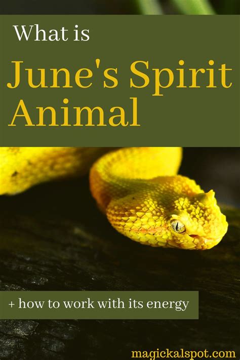 What is June's Spirit Animal? [+ How to Work With Its Energy] | Spirit ...