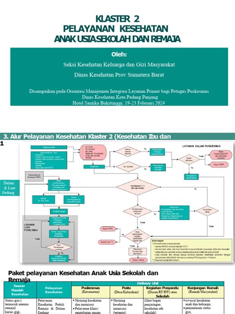 Klaster 2 Pelayanan Kesehatan Anak Usia Sekolah Dan Remaja Pdf