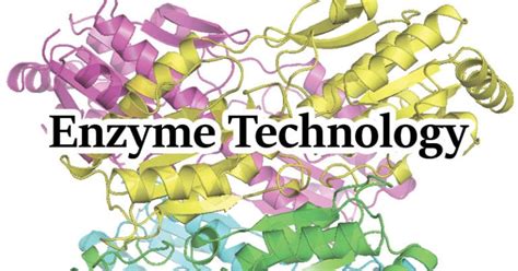 Introduction To Enzyme Technology