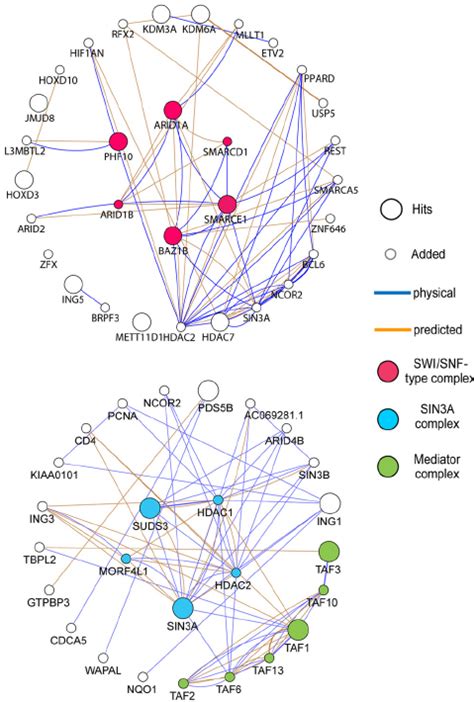 Protein Protein Interaction Network Maps For The Major Hits Protein