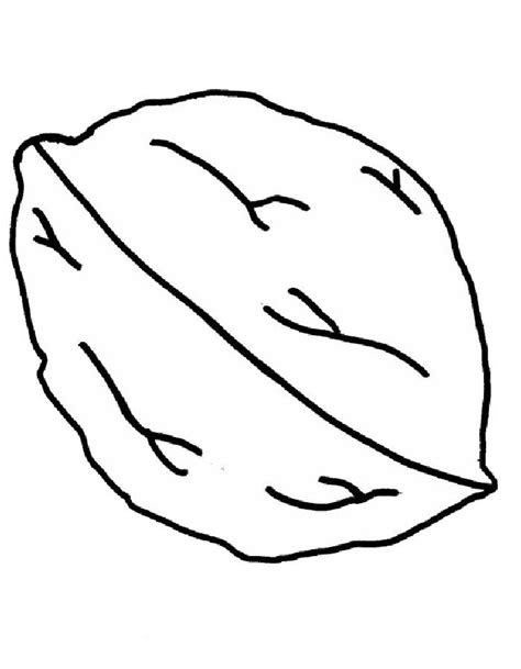 Walnut Coloring Pages Free Printable Pdf