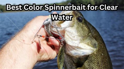 Best Color Spinnerbait For Clear Water Barb Catch Fishing