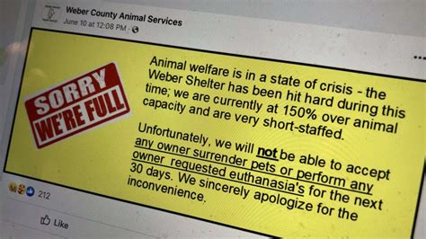 Weber County Animal Shelter says ‘animal welfare in state of crisis ...