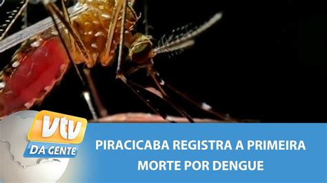 Piracicaba Registra A Primeira Morte Por Dengue Vtv Da Gente Youtube