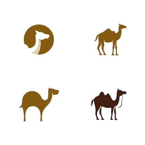 Premium Vector Camel Icon Vector Illustration Design