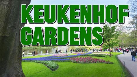 Keukenhof Gardens Youtube