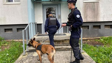 Trafic de stupéfiants La police de Niort se montre dans les quartiers