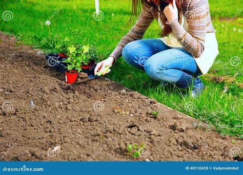 Mujer Que Planta Las Flores Foto De Archivo Imagen De Horticultura