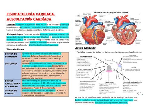 Fisiopatolog A Cardiaca Auscultaci N Cardiaca Sonia Flores Udocz