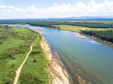 Palo Verde National Park Tour With River Tempisque Cruise Tui Musement