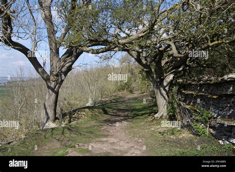 Walk along the Leyburn Shawl in North Yorkshire Stock Photo - Alamy