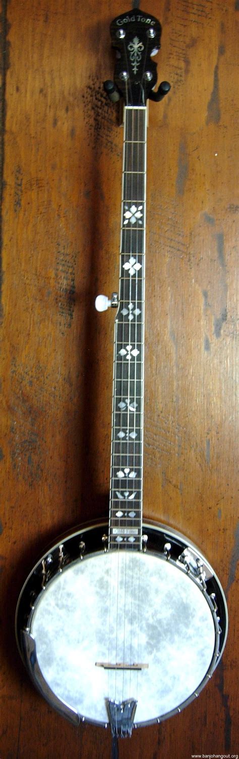2005 Gold Tone Ob250ln Long Neck Banjo Used Banjo For Sale At