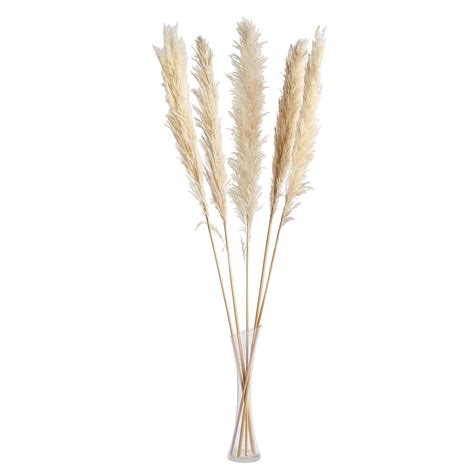 Natural Wheat Tint Pampas Grass Sprays