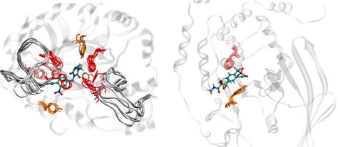 Figure 2 From Design Synthesis And In Silico Multitarget