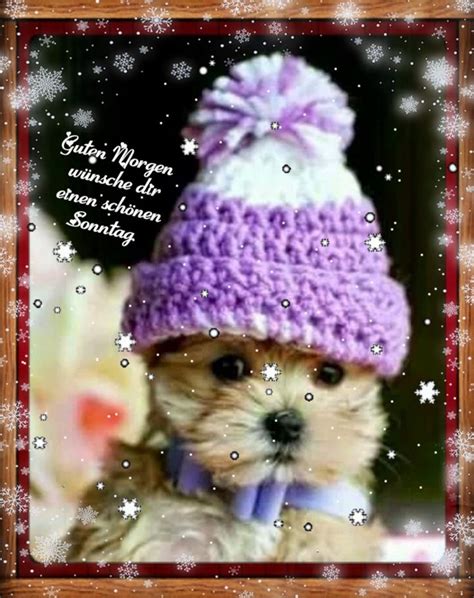 Pin by Bärbel Brunner on Wochentage Yorkie Cute Winter