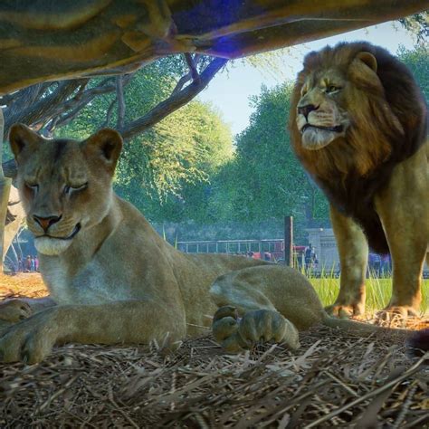 Купить игру Planet Zoo для PC / ПК, активация в стим Steam для региона ...