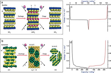 Most Important Anodes And Anode Reactions In Li Ion Batteries A