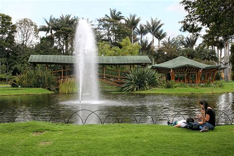 Jardin Botanico Bogota Colombia