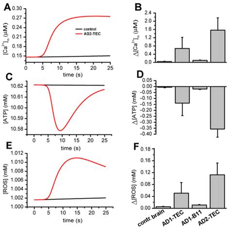 Cells Free Full Text Intracellular Injection Of Brain Extracts From