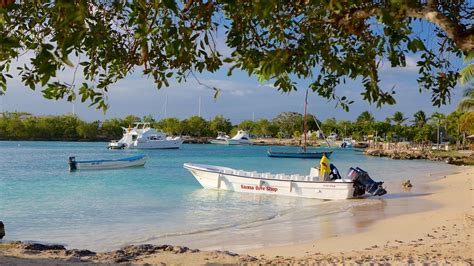 Bayahibe Beach in Bayahibe, Dominican Republic | Expedia