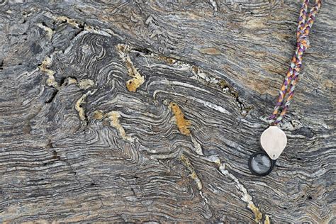 Folded Phyllite Cut By Quartz Veins Geology Pics