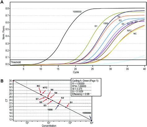 Real Time PCR Results A Representative Fluorescence Acquisition Graph