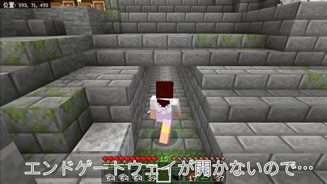 【マイクラ】エンドラを倒さずにエンドシティに行ける⁉ まいくらかあさん