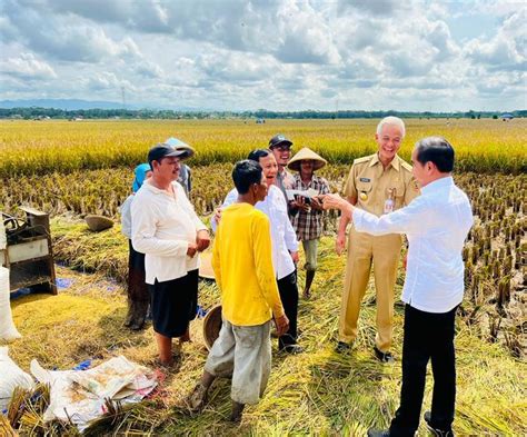 Petani Keluhkan Ketersediaan Pupuk Jokowi Sebut Kendala Pasokan Global