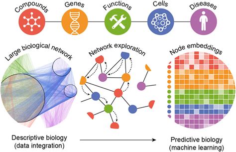 Formatting Biological Big Data For Modern Machine Learning In Drug