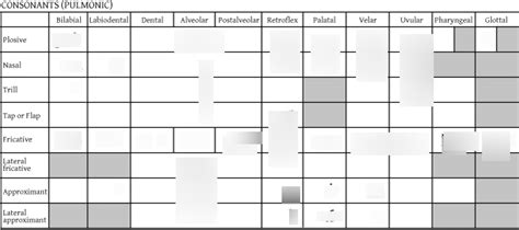 ipa chart Diagram | Quizlet