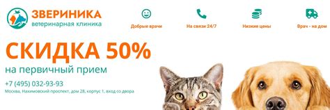 Ветеринарная клиника "Звериника" | В ветеринарной клинике Звериника ...