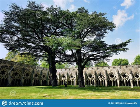 The Peaceful Cloisters Next To The Church Of San Francesco Chiostro