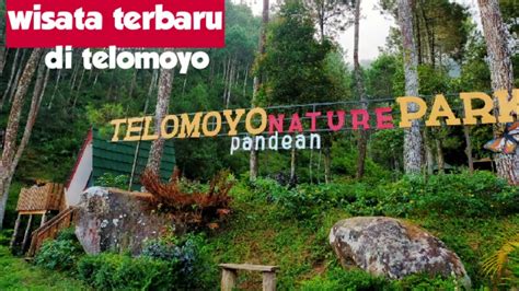 Telomoyo Nature Park Surga Tersembunyi Di Lereng Gunung SeiSe