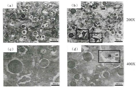 Effect Of Ultrasonic Treatment On Microstructure And Properties Of Nodular Cast Iron During