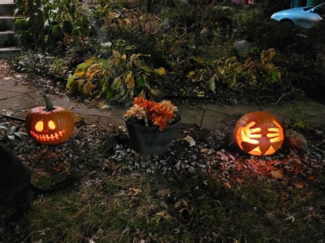 My Wife And I Carved Our Pumpkins Last Night Happy Halloween Fellow