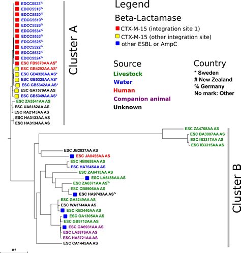 Frontiers Clonal Ctx M Producing Escherichia Coli St Are