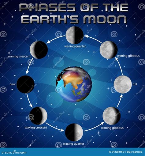 Phases De La Lune Pour L Enseignement Scientifique Illustration De