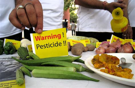 Fruits and Vegetables that Are Loaded with Harmful Pesticides