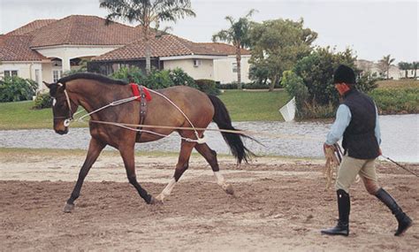 Pessoa Lunging System Mtn Creek Saddlery