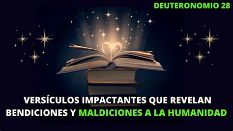 20 Versículos Impactantes de Deuteronomio 28 que Revelan Bendiciones y