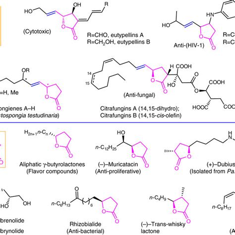 Representative Examples Of γ E Vinylic And Download Scientific