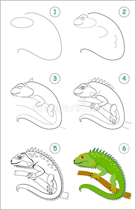 How To Draw Step By Step Cute Green Iguana Educational Page For Kids