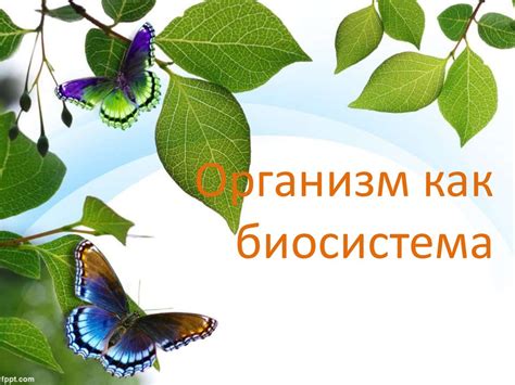 Организм как биосистема - презентация онлайн