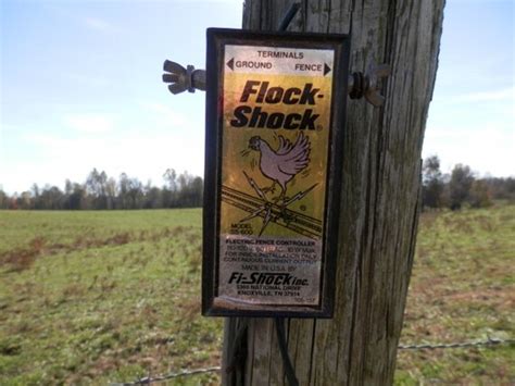 Items Similar To Vintage Electric Fence Charger Flock Shock Fi Shock