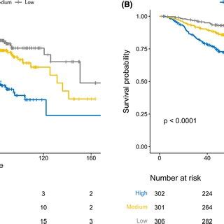 KaplanMeier Survival Curves For OS A And DSS B In Elderly NPC