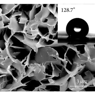 SEM Images Of A Untreated Aluminum And Sample Surfaces After