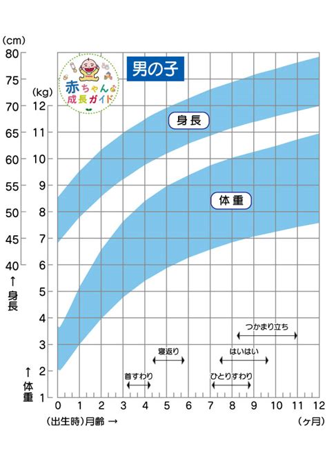 [男の子]成長曲線・身体発育曲線【赤ちゃん成長ガイド】